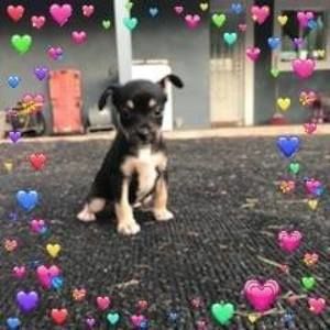 Meet your Posher, Karina